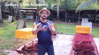 Inviting you to Fiestag 2023