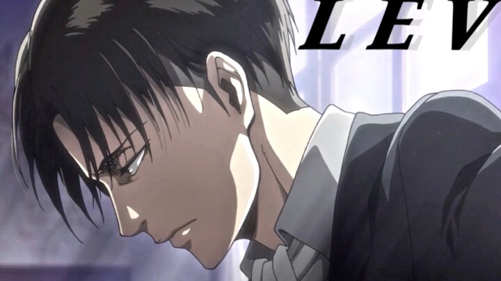 "Levi, just Levi."