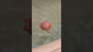 NEMU MAINAN BEBEK LUCU BANGET ! BISA BERENANG SENDIRI