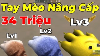 Găng Tay Mèo Vàng Mắc Nhất CF ( Trị Giá 34 Triệu ) : Anh Đã Già CF