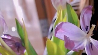 A sudden vacation~【Duoduo's VLOG】