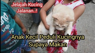 Subhanallah Ada Anak Kecil Menggendong Kucingnya Untuk Kami Kasih Makan Mengharukan | Feeding Cats.!