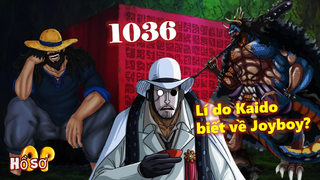 [Full Spoil OP 1036]. Lí do Kaido biết về Joyboy? Sức mạnh CP0?
