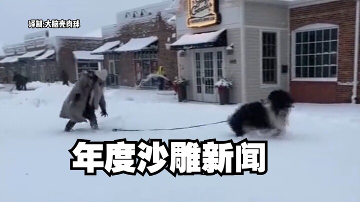 Berita paling kocak tahun ini baru saja lahir! Saat wawancara dengan sang pemilik baru setengah jala