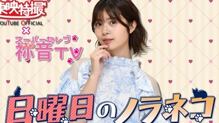 【GEATS】星期天的流浪貓