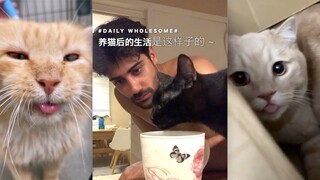 هكذا تصبح الحياة بعد تربية قطة ~