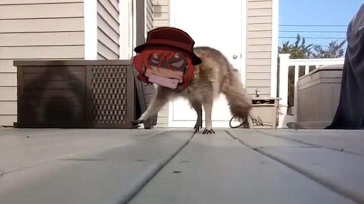 The attack from the drama
