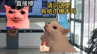狗：讨厌没有边界感的人