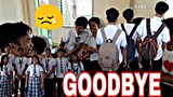 CLASSMATE (Thank You And Goodbye for now😢)