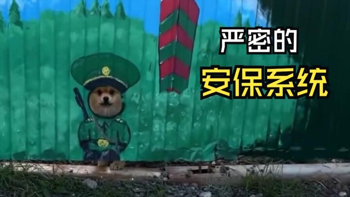 Awkward moments of those animals!