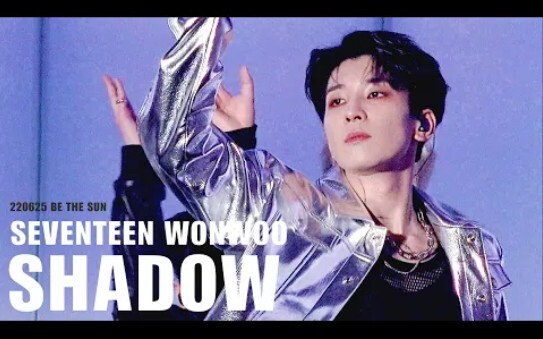 【تركيز كامل على وونيو】لقطة مباشرة من حياة شادو التي سأحملها معي إلى التابوت بعد موتي!!!