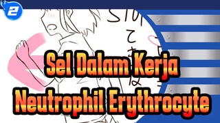 [Sel Dalam Kerja!/Animasi] Neutrophil&Erythrocyte_2