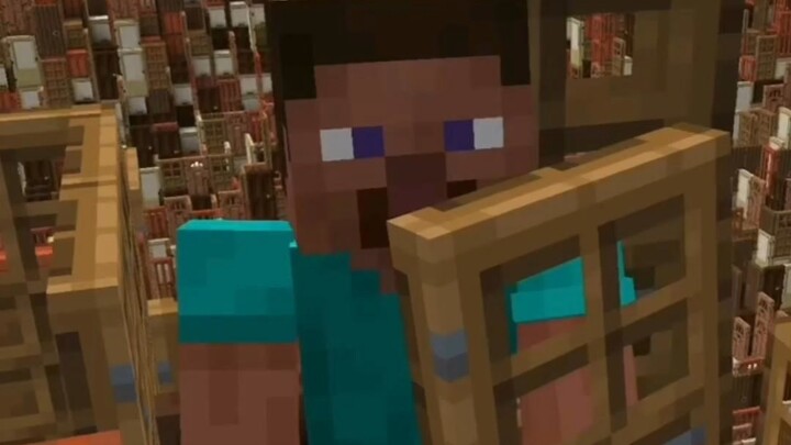 Dimensi pintu yang saya tambahkan di Minecraft 8