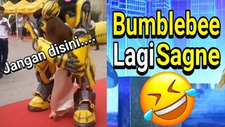 Bumblebee udah gak tahan ygy