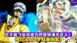 尼卡路飞如何成为终极体通天巨人！特拉法加D罗就是钥匙！#989