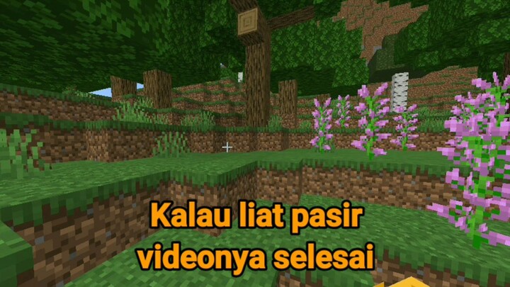 Minecraft tapi gaboleh lihat pasir