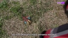 Ultraman X Episode 8 Sub Indonesia