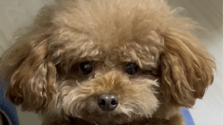 That tiny little fart? It takes a lifetime for a child to heal from it.