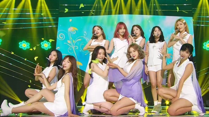 [ดนตรี][Live]WJSN - <Where You Are> <BUTTERFLY>