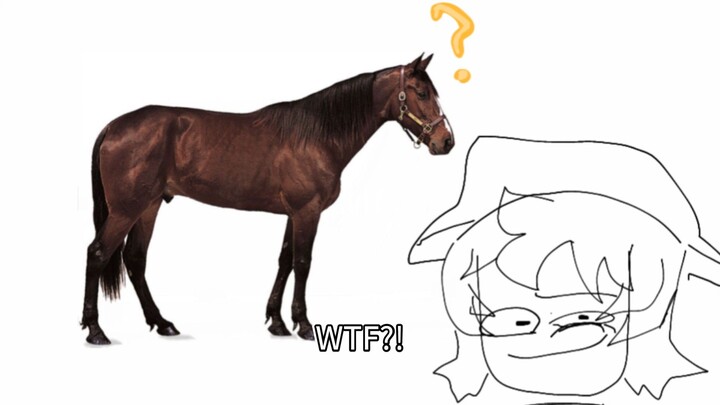 Who let THE HORSE IN?!