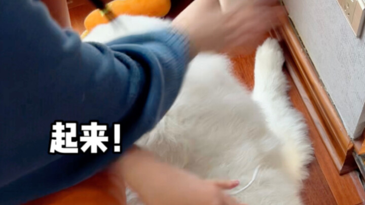 So, I was sleeping soundly when suddenly I got smacked hard?