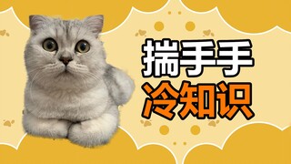 เกร็ดน่ารู้เกี่ยวกับสัตว์เลี้ยง: เกร็ดน่ารู้เกี่ยวกับท่าทางการเอามือซุกไว้ในอ้อมแขนของแมว คุณรู้หรือ