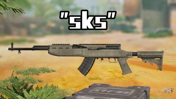 "Chinese Server 'SKS'"
