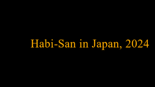 My_30_minutes_of_fame_in_Japan_2024