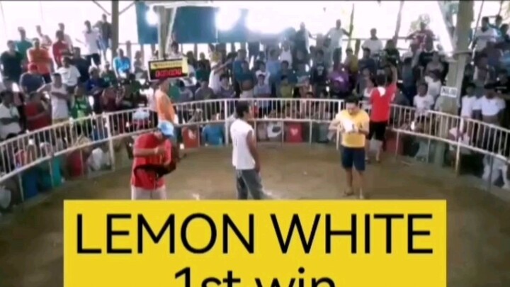 LEMON WHITE