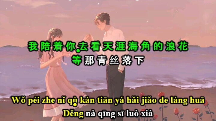 Kiếp Sau Vẫn Muốn Cùng Anh Lập Gia Đình - Lưu Tam Cân #nhachaymoingay #