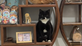 Just standing there is awesome