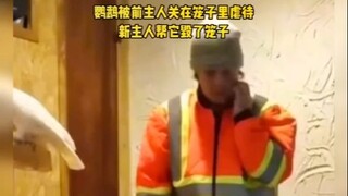 Cốt lõi tiếng Anh cấp tám