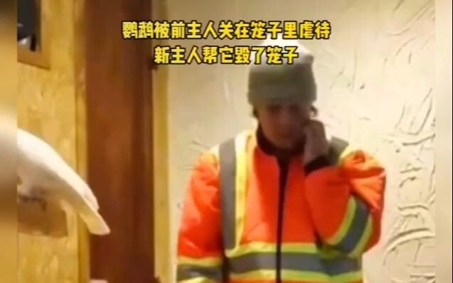 English National Treasure Level 8