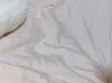 Tan làm quên mang gà rán cho nó rồi……