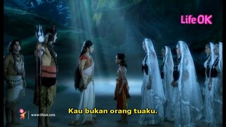 Eps 231