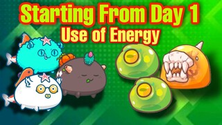 Axie Infinity Starting From Day 1 | Adventure Guide | How To Start Strong (Tagalog)