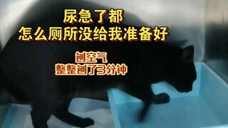 急死了急死了