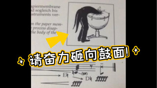 This one can make me laugh for a whole year～