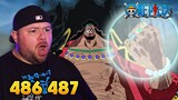 Blackbeard Has Two Powers?! One Piece REACTION - Episode 486 & 487