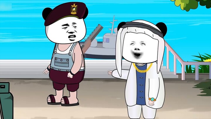 Where did the satellite come from?