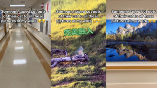 حقًا تمتزج بشكل مثالي 😂