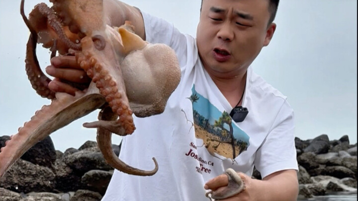 You can't eat this sea cucumber