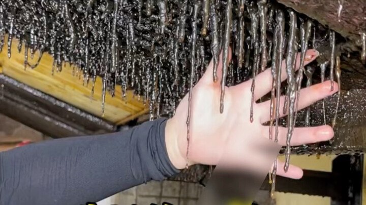 The boss said this cafeteria had just been taken over, and even the cooks shook their heads in disma