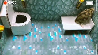 Để thoát khỏi, chuột hamster đã cạy cửa toilet và thoát bằng đường ống