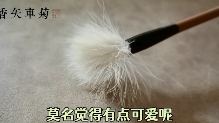 买了支鸡毛笔，写字差点笑死～