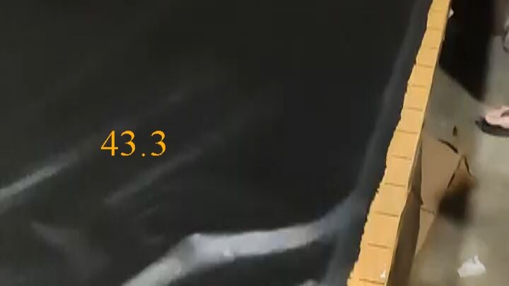 43.3