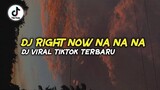 DJ RIGHT NOW NA NA NA || dj viral tiktok terbaru || Zio DJ Remix