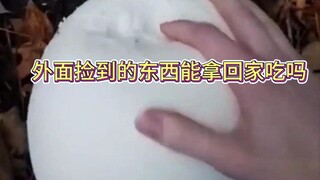 外面捡到的东西能拿回家吃吗，小伙捡了白色大蘑菇球。 #捡东西  #巨型马勃  #蘑菇  #美食  #冷知识