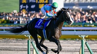 【赛马/春秋分】22世代最强，此即是世界最强的英姿！