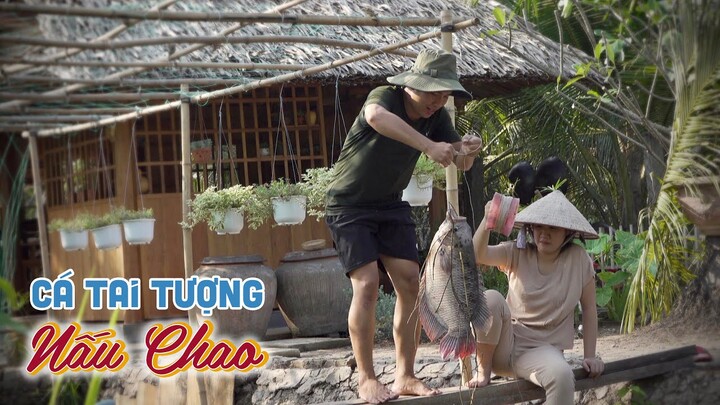 CÁ TAI TƯỢNG 5KG NẤU CHAO - món ngon dân dã Miền Tây | Chuyện Phương Kể